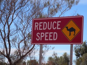 Kings Canyon & Alice Springs-076